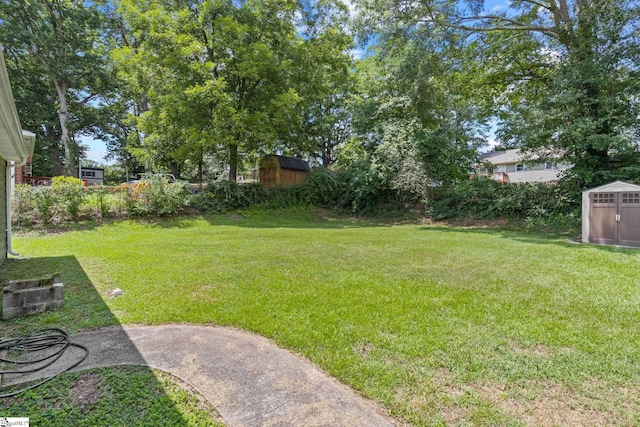 view of yard featuring a storage shed