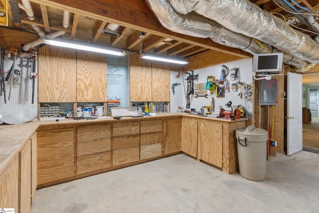 basement with a workshop area