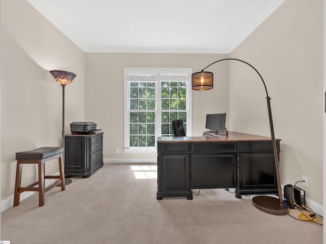 office space with ornamental molding and light carpet