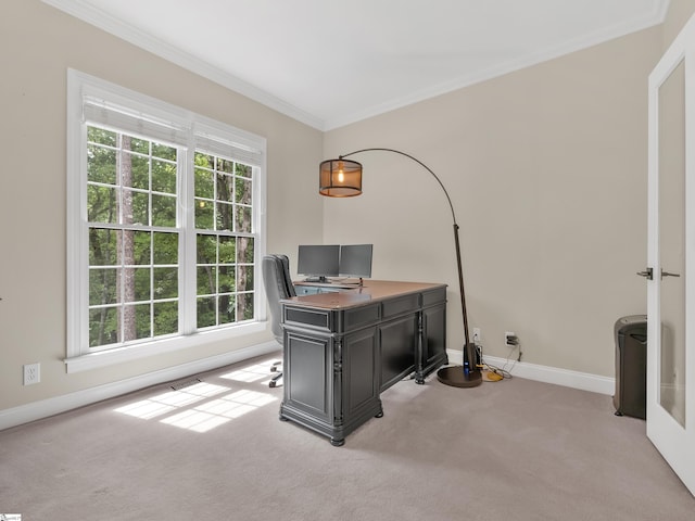 carpeted home office with ornamental molding