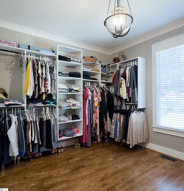 walk in closet with dark wood-type flooring and a chandelier