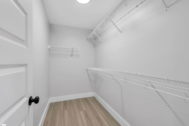 spacious closet with light wood-type flooring