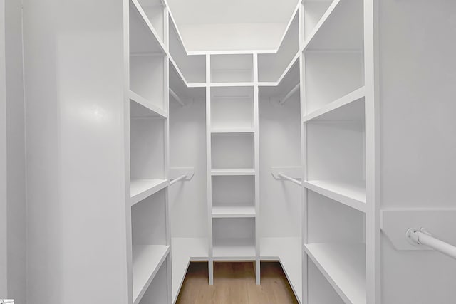 spacious closet with light wood-type flooring