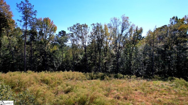 Listing photo 3 for 00 Kingswood Dr Lot # 20And # 21, Winnsboro SC 29180