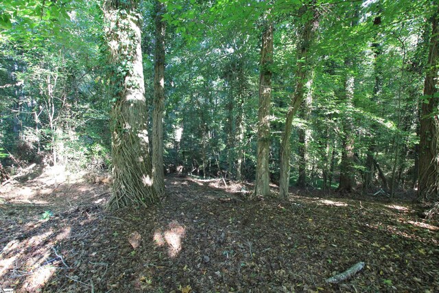 E Hayne St, Woodruff, SC 29388