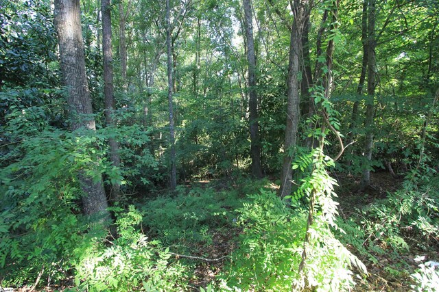 E Hayne St, Woodruff, SC 29388