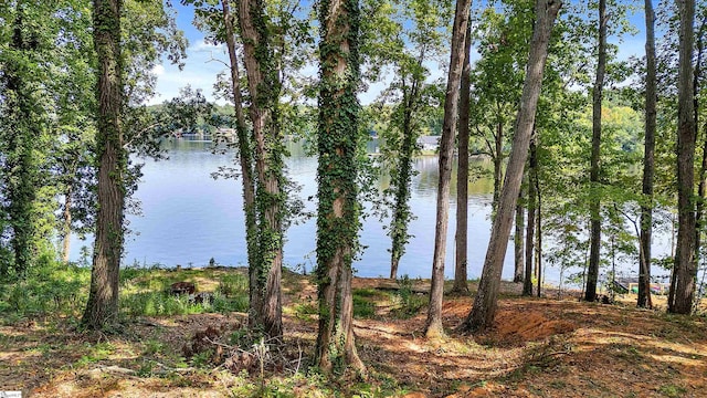 Listing photo 3 for 1907 Broadway Lake Rd, Anderson SC 29621