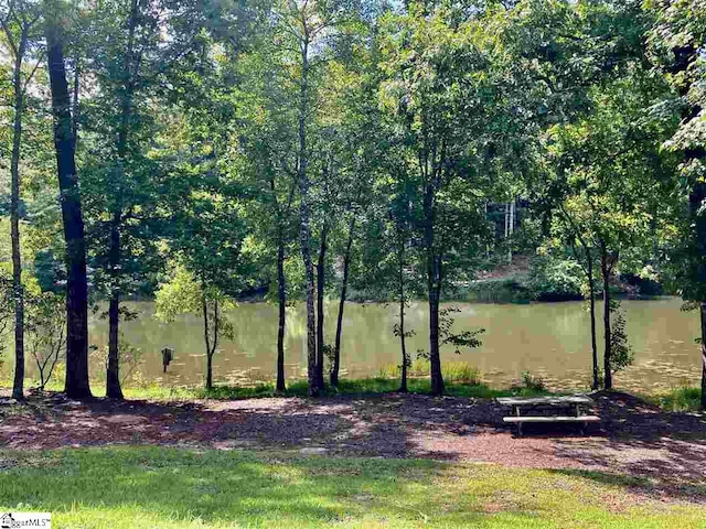 Listing photo 2 for Purple Finch Way Unit Cmp-1-185, Marietta SC 29661