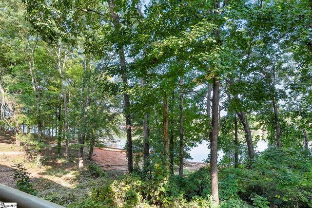 view of water feature