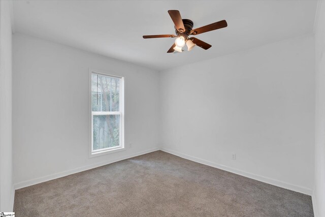 carpeted empty room featuring a wealth of natural light and ceiling fan