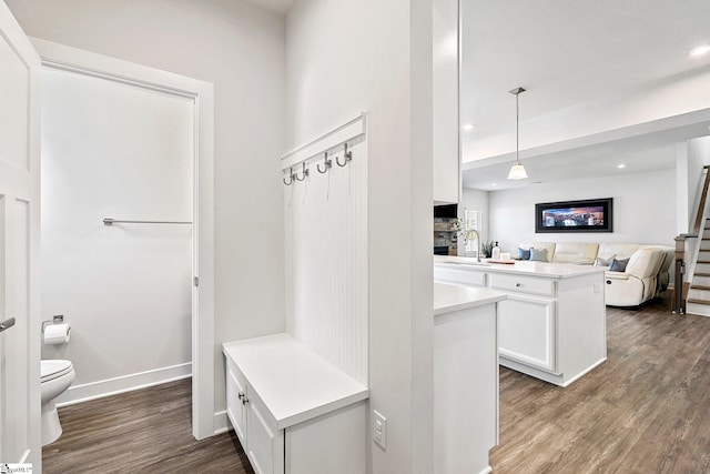 mudroom featuring dark hardwood / wood-style floors and sink