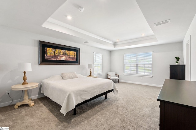 carpeted bedroom featuring a raised ceiling