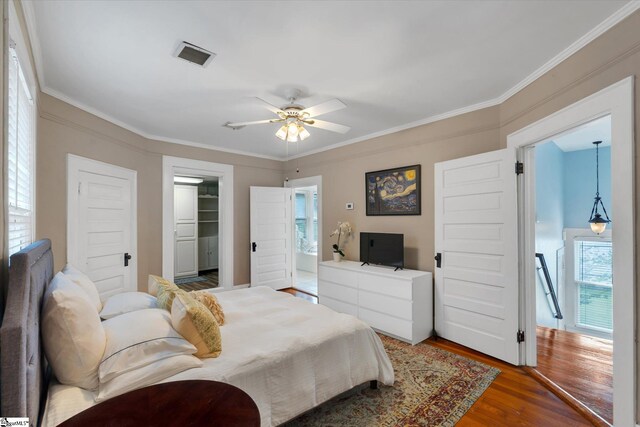 bedroom featuring hardwood / wood-style flooring, a closet, a spacious closet, ceiling fan, and ornamental molding