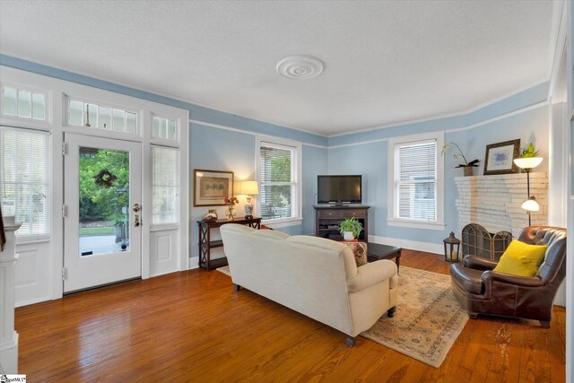 living room featuring hardwood / wood-style floors and a wealth of natural light