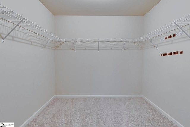 spacious closet featuring carpet floors