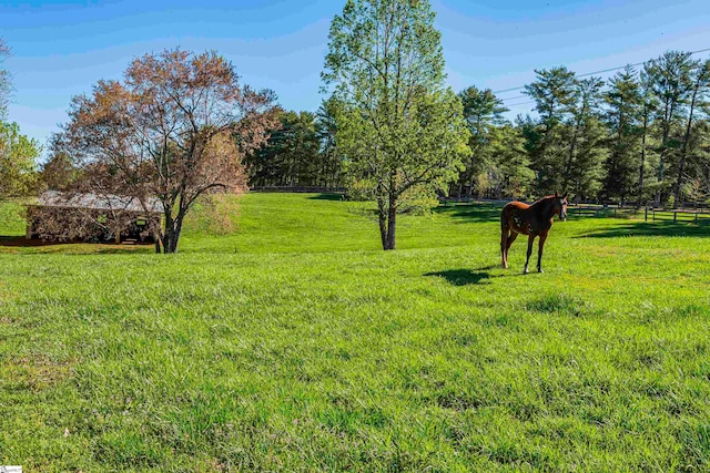 view of yard featuring a rural view