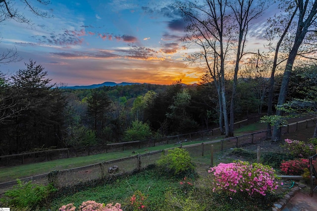 view of yard at dusk