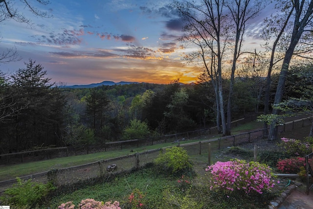 view of yard at dusk