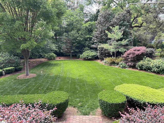 571 E Main St, Spartanburg, SC 29302 - view of grassy yard