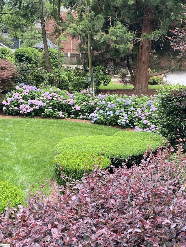 571 E Main St, Spartanburg, SC 29302 - view of yard