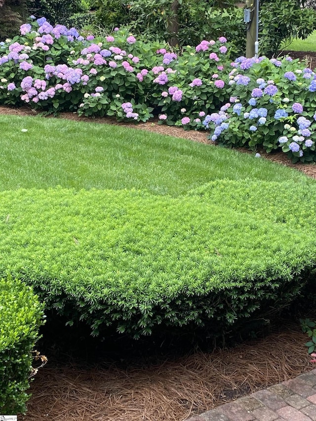 571 E Main St, Spartanburg, SC 29302 - view of grassy yard