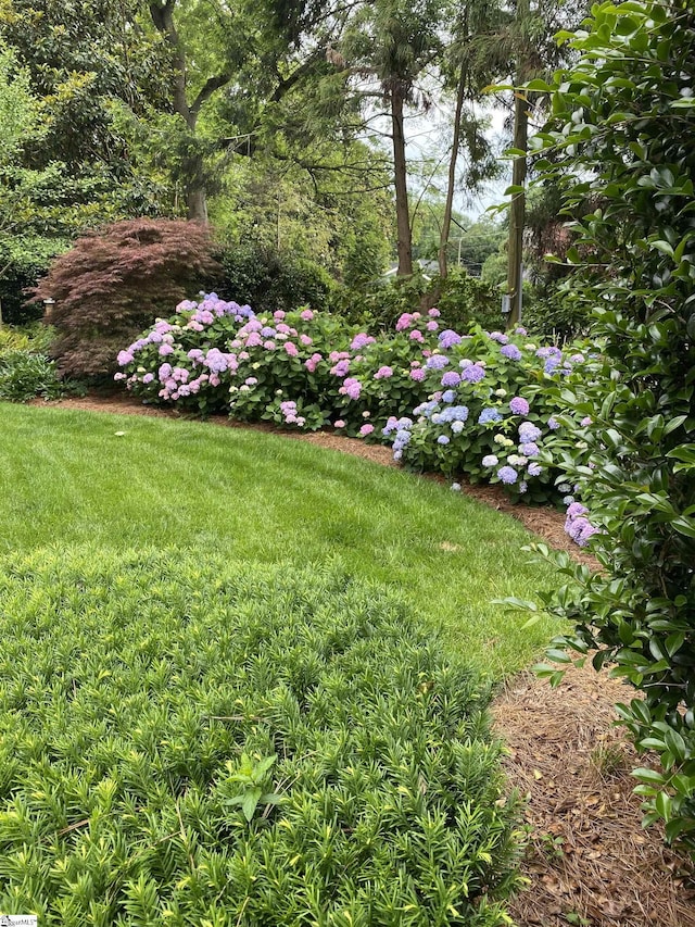 571 E Main St, Spartanburg, SC 29302 - view of grassy yard