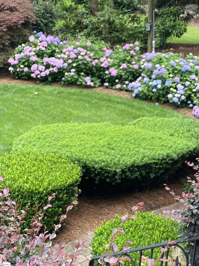 571 E Main St, Spartanburg, SC 29302 - view of yard