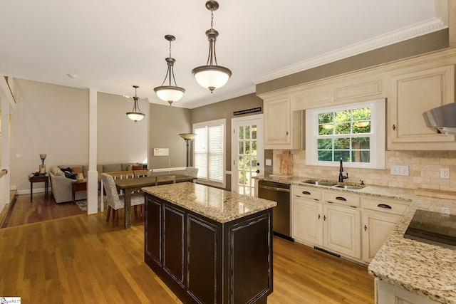 kitchen featuring plenty of natural light, hardwood / wood-style floors, stainless steel dishwasher, and sink