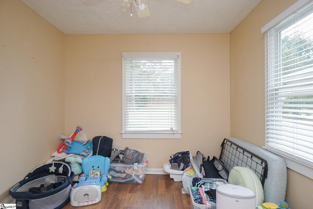 miscellaneous room with hardwood / wood-style flooring, a healthy amount of sunlight, and ceiling fan