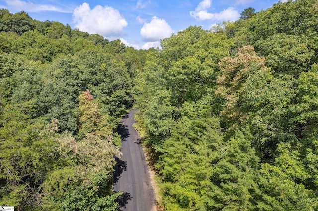 18 High Cliffe Way, Landrum, SC 29356