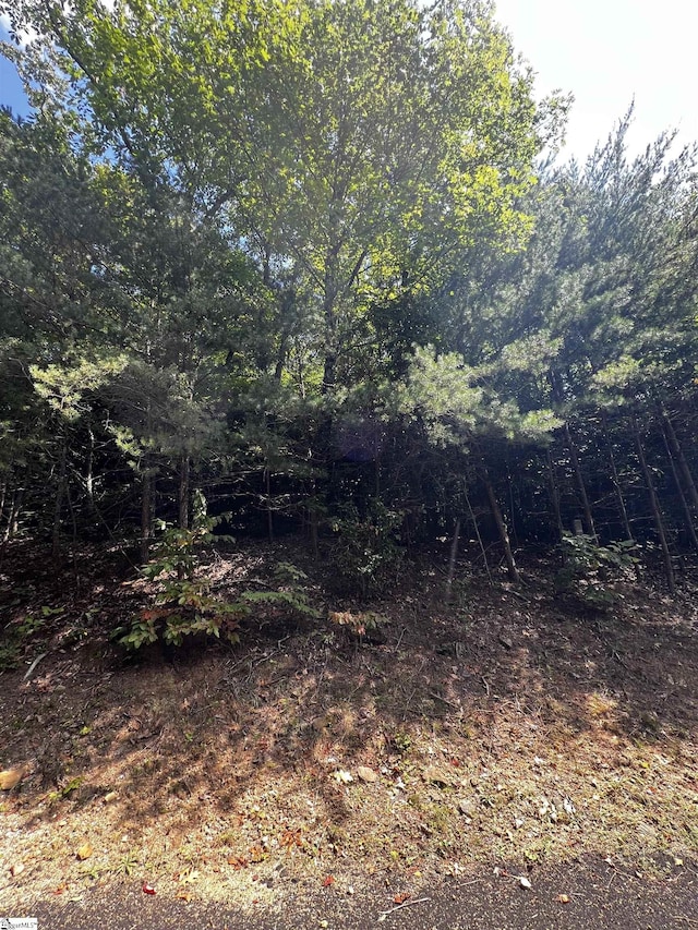 18 High Cliffe Way, Landrum, SC 29356