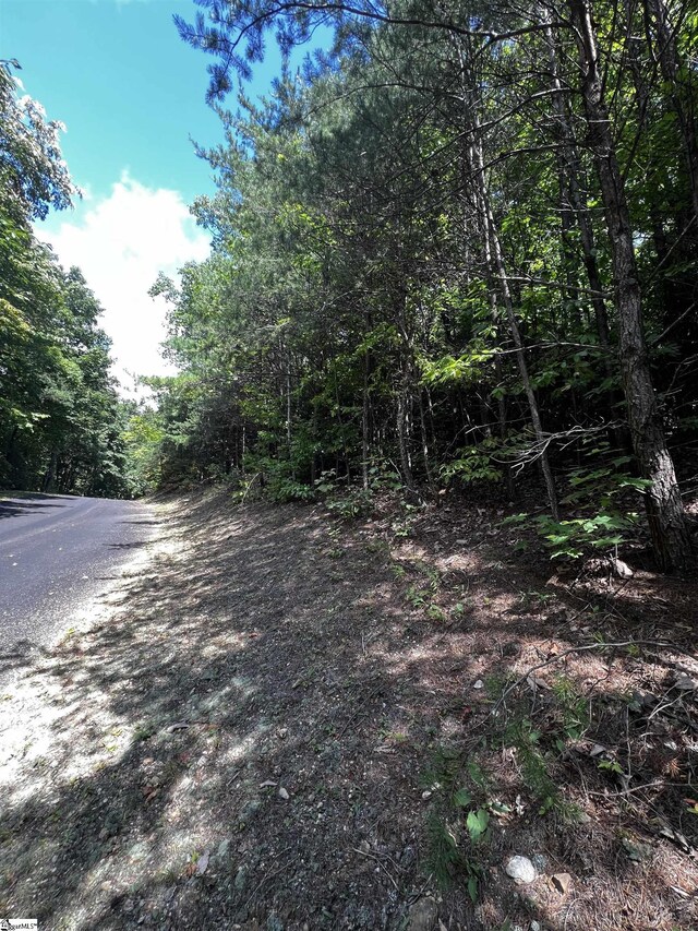 18 High Cliffe Way, Landrum, SC 29356