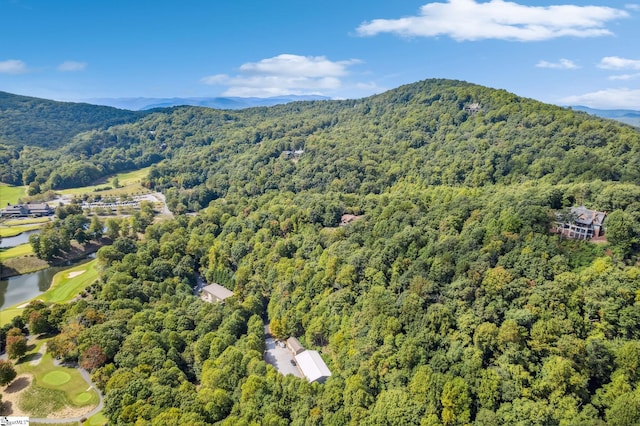 18 High Cliffe Way, Landrum, SC 29356
