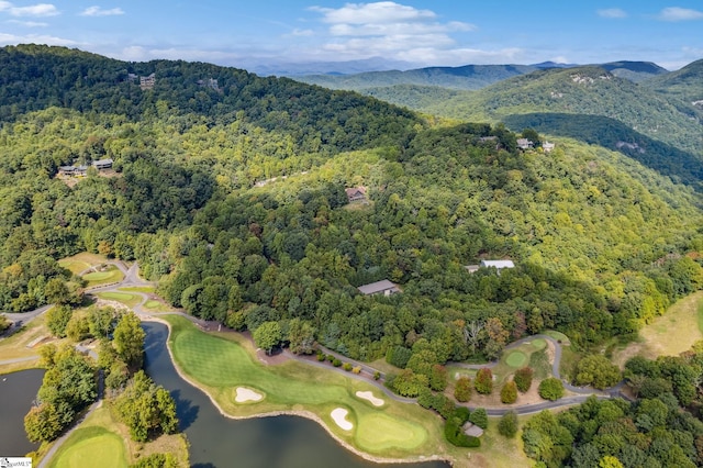18 High Cliffe Way, Landrum, SC 29356