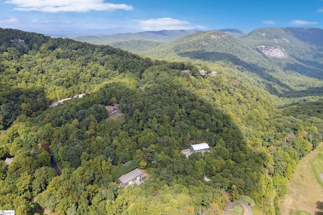 18 High Cliffe Way, Landrum, SC 29356