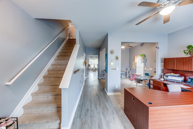 staircase featuring ceiling fan and wood-type flooring