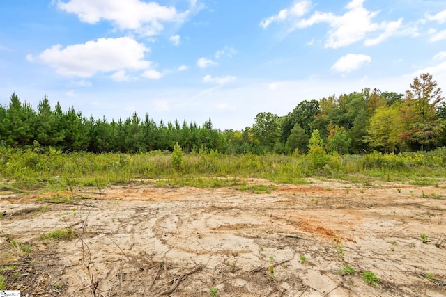 00 Mount Shoals Rd, Enoree, SC 29335