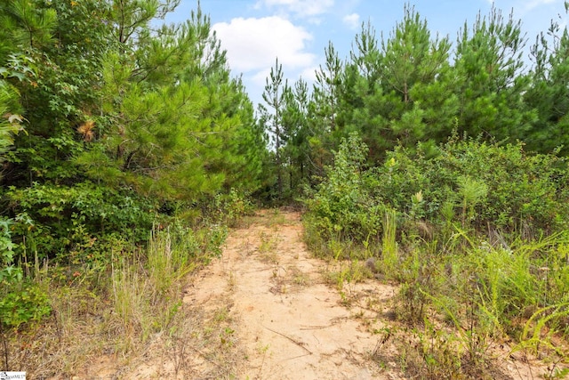 00 Mount Shoals Rd, Enoree, SC 29335