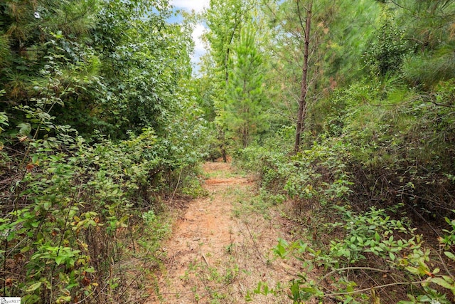 00 Mount Shoals Rd, Enoree, SC 29335