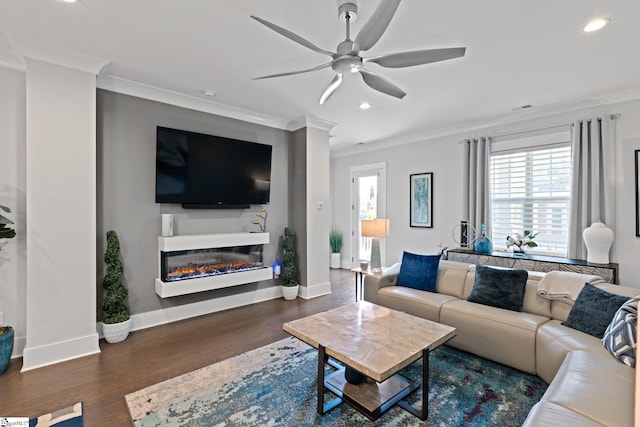 living room with crown molding, ceiling fan, and dark hardwood / wood-style flooring