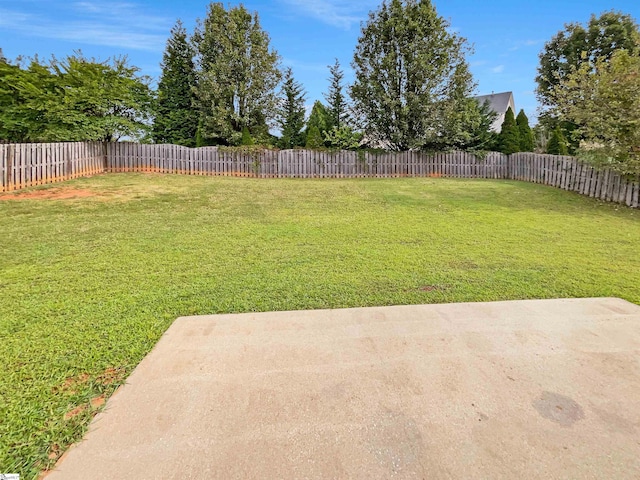 view of yard featuring a patio area