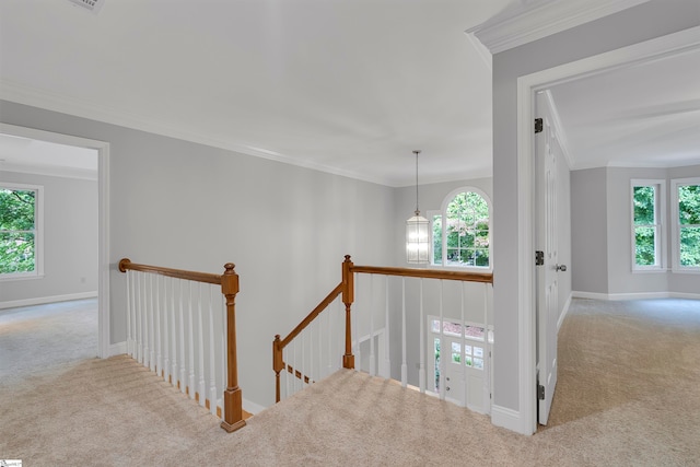 staircase with carpet, ornamental molding, and a healthy amount of sunlight