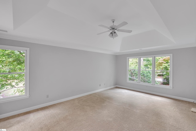 empty room featuring carpet, ceiling fan, crown molding, and a tray ceiling