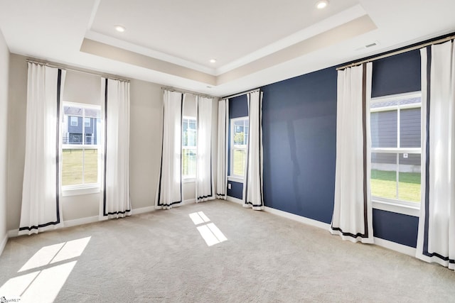 carpeted empty room featuring a raised ceiling and a healthy amount of sunlight