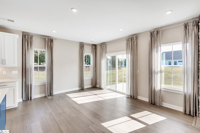 interior space featuring light wood-type flooring and a wealth of natural light