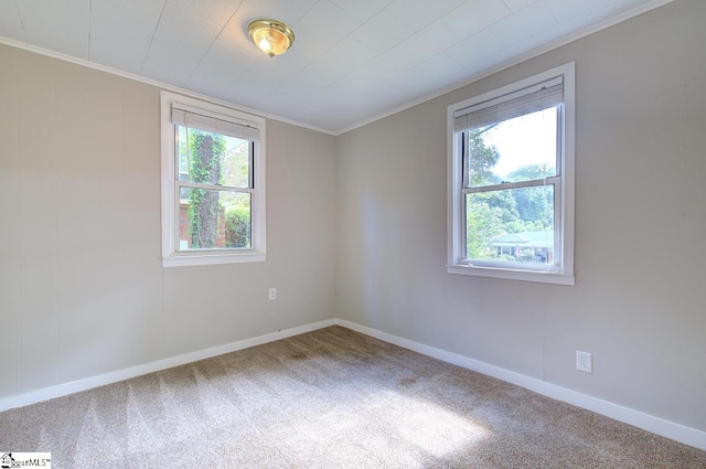 carpeted spare room with ornamental molding