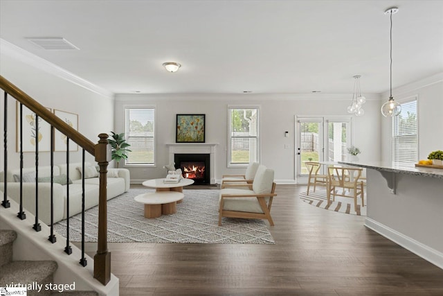 living room featuring an inviting chandelier, dark hardwood / wood-style floors, ornamental molding, and plenty of natural light