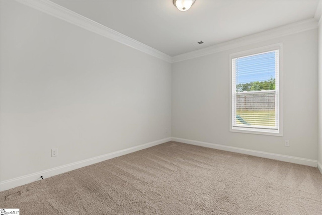 empty room with carpet floors and ornamental molding