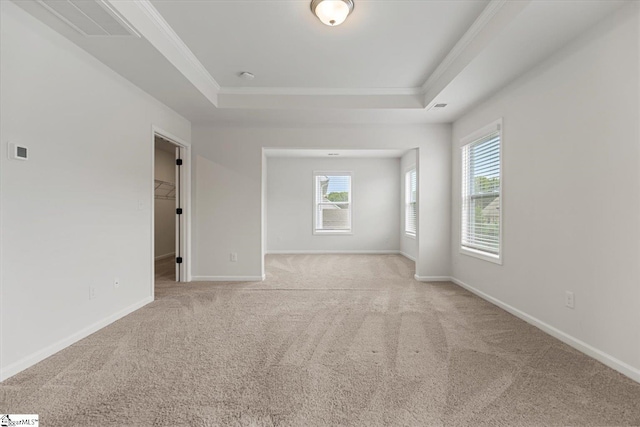 spare room with light colored carpet, a raised ceiling, and ornamental molding