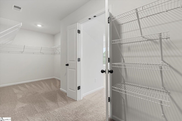 walk in closet featuring carpet floors